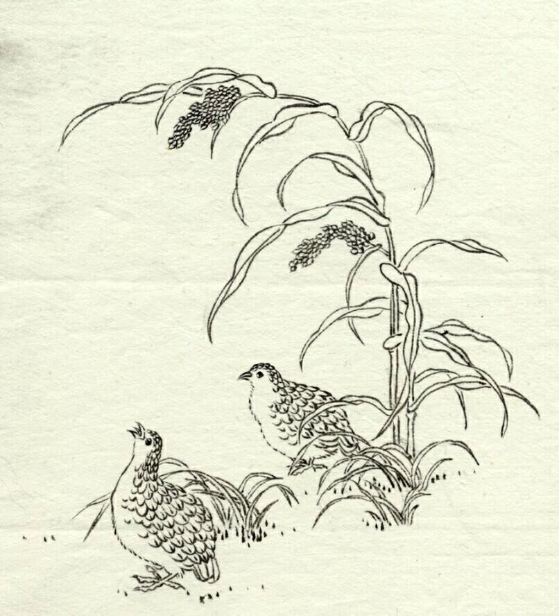 anonymous Song painting, Palace Museum Monthly, No.158/a6492.jpg anonymous Song painting, Palace Museum Monthly, No.158 / a6492.jpg